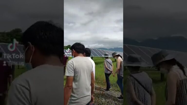 Avances en Sostenibilidad a Trav&eacute;s de la Energ&iacute;a Fotovoltaica