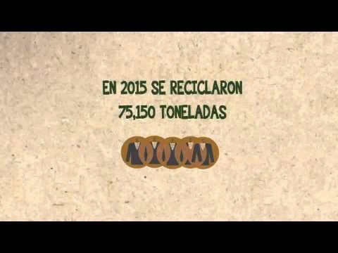 Impacto Paisajístico de la Energía Solar: Opiniones Divididas