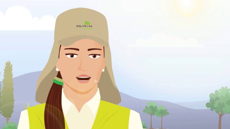 Protecci&oacute;n Efectiva de Paneles Solares contra Rayos UV