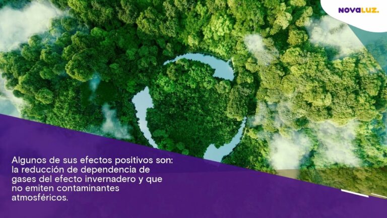 Evaluaci&oacute;n del Impacto Ambiental de Placas Fotovoltaicas