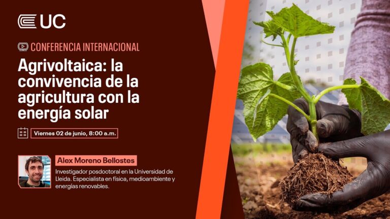 Tendencias en Placas Solares para Maximizar la Eficiencia Energ&eacute;tica