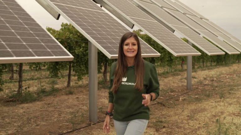 Innovaci&oacute;n Sostenible en Energ&iacute;a Limpia: El Futuro de las Placas Solares