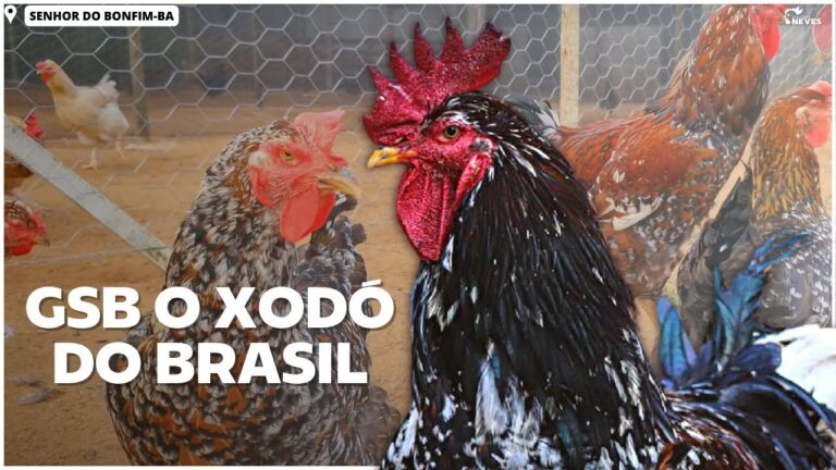 Comparativa de Tama&ntilde;o y Peso de Placas Solares