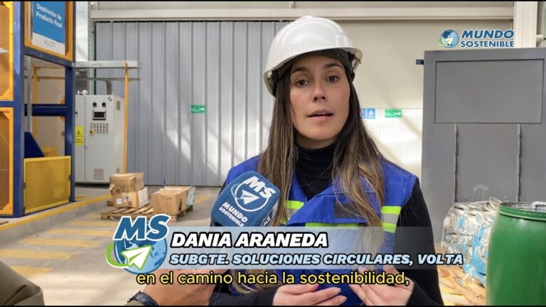 Innovaciones en Paneles Solares para una Sostenibilidad Ambiental Efectiva