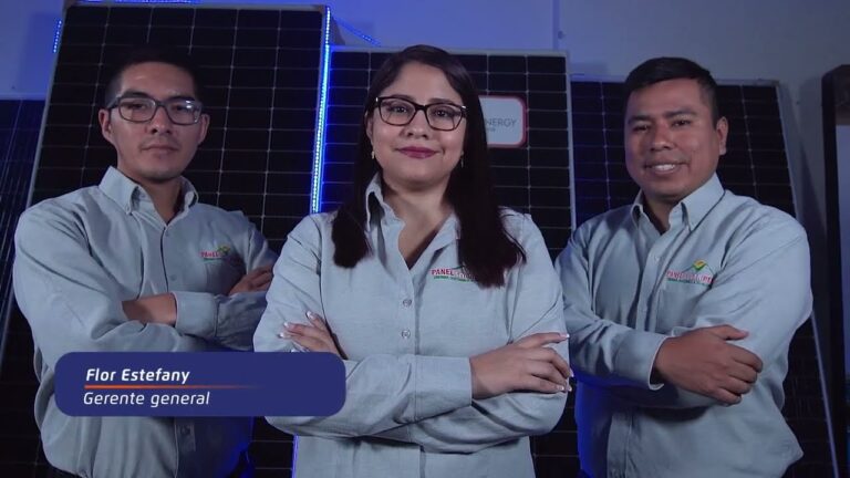 Transformaci&oacute;n de Empresas Sostenibles a trav&eacute;s de Placas Fotovoltaicas