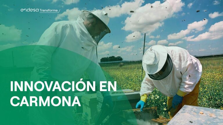 Revoluci&oacute;n Verde: Ecoinnovaci&oacute;n en Placas Solares