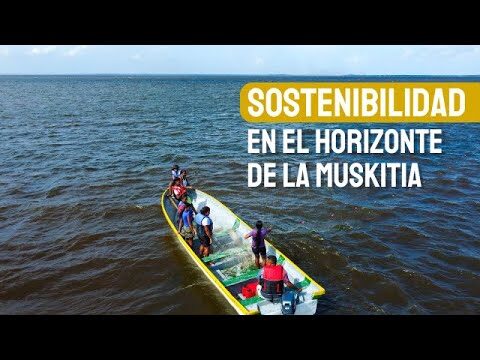 Nuevas Tecnolog&iacute;as Solares que Transforman el Futuro