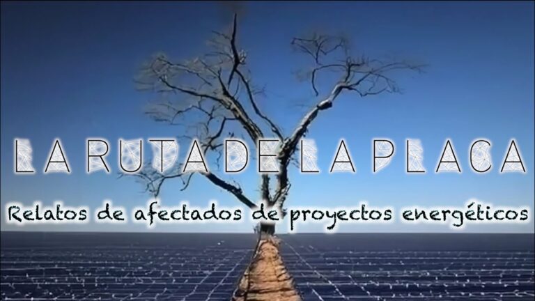 Impacto de las Placas Fotovoltaicas en la Fauna