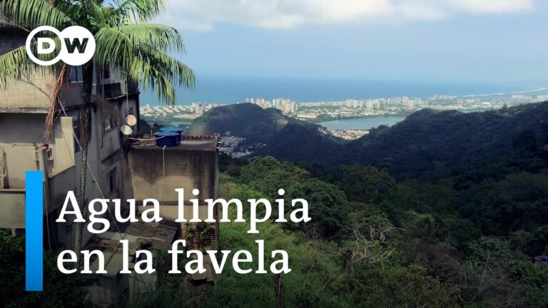 Iniciativas Ecol&oacute;gicas para Comunidades de Vecinos