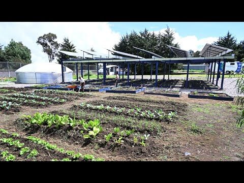 Fusionando Energía Solar con el Paisaje: Innovación Sustentable