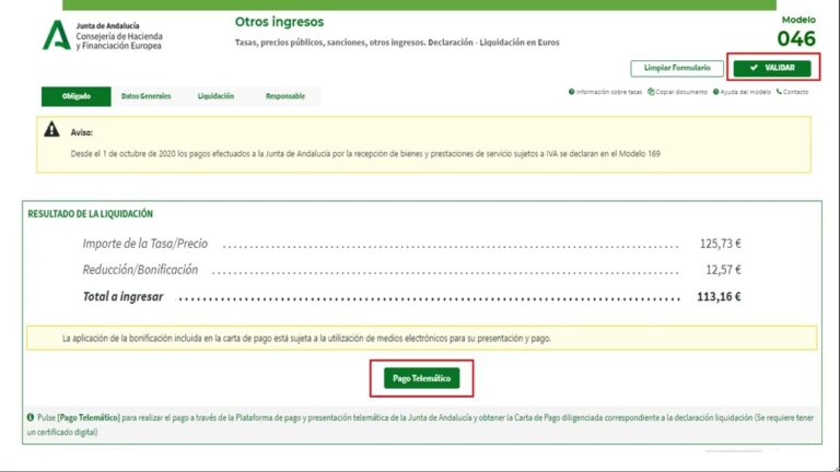 Opciones de Financiaci&oacute;n para Placas Solares en Establecimientos