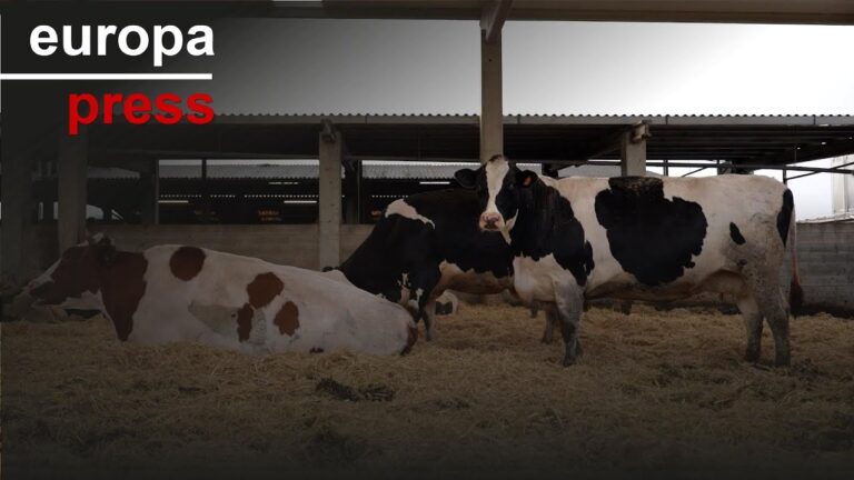 Beneficios Ambientales y Econ&oacute;micos de las Placas Solares